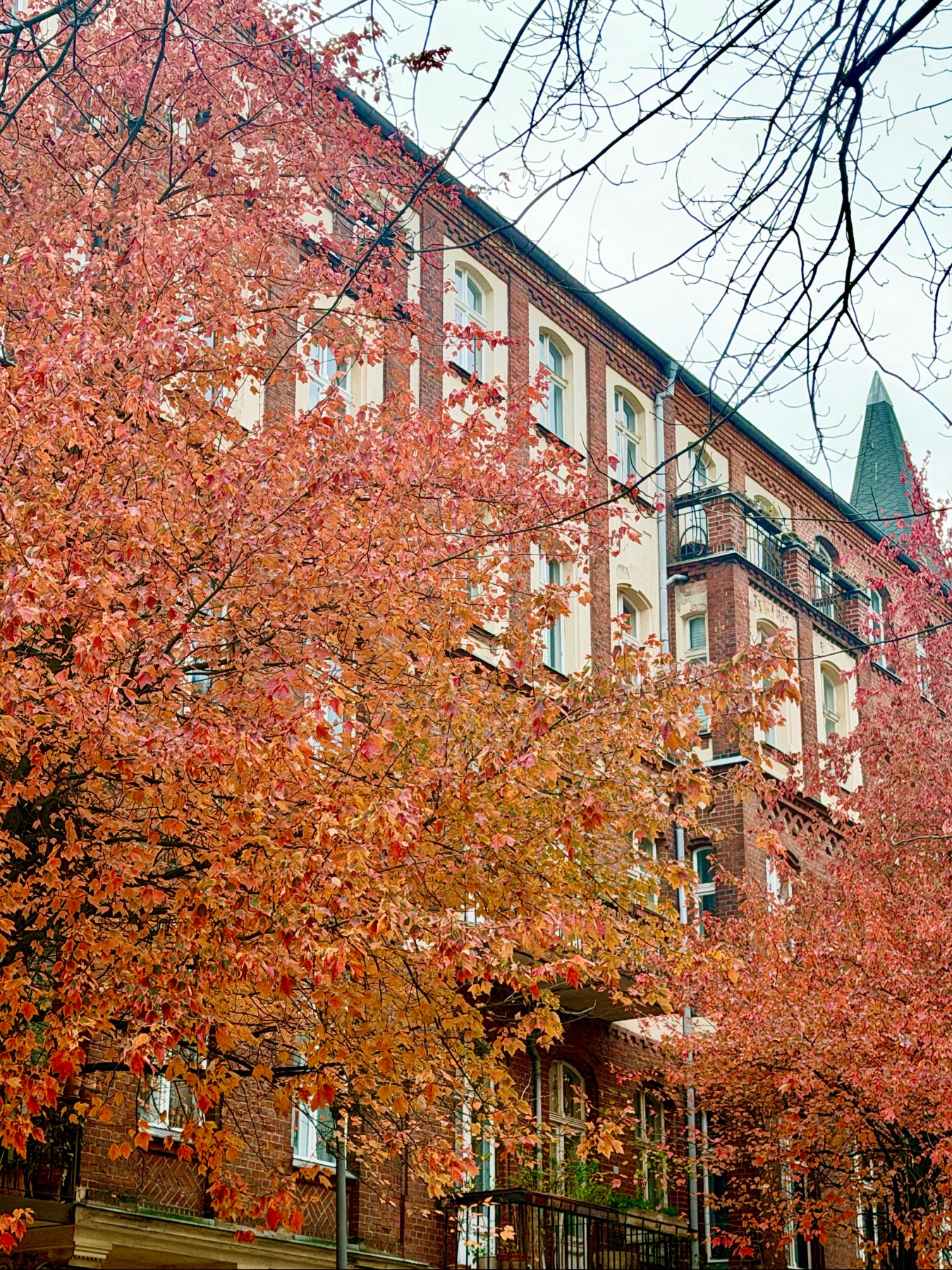 Autunno berlinese