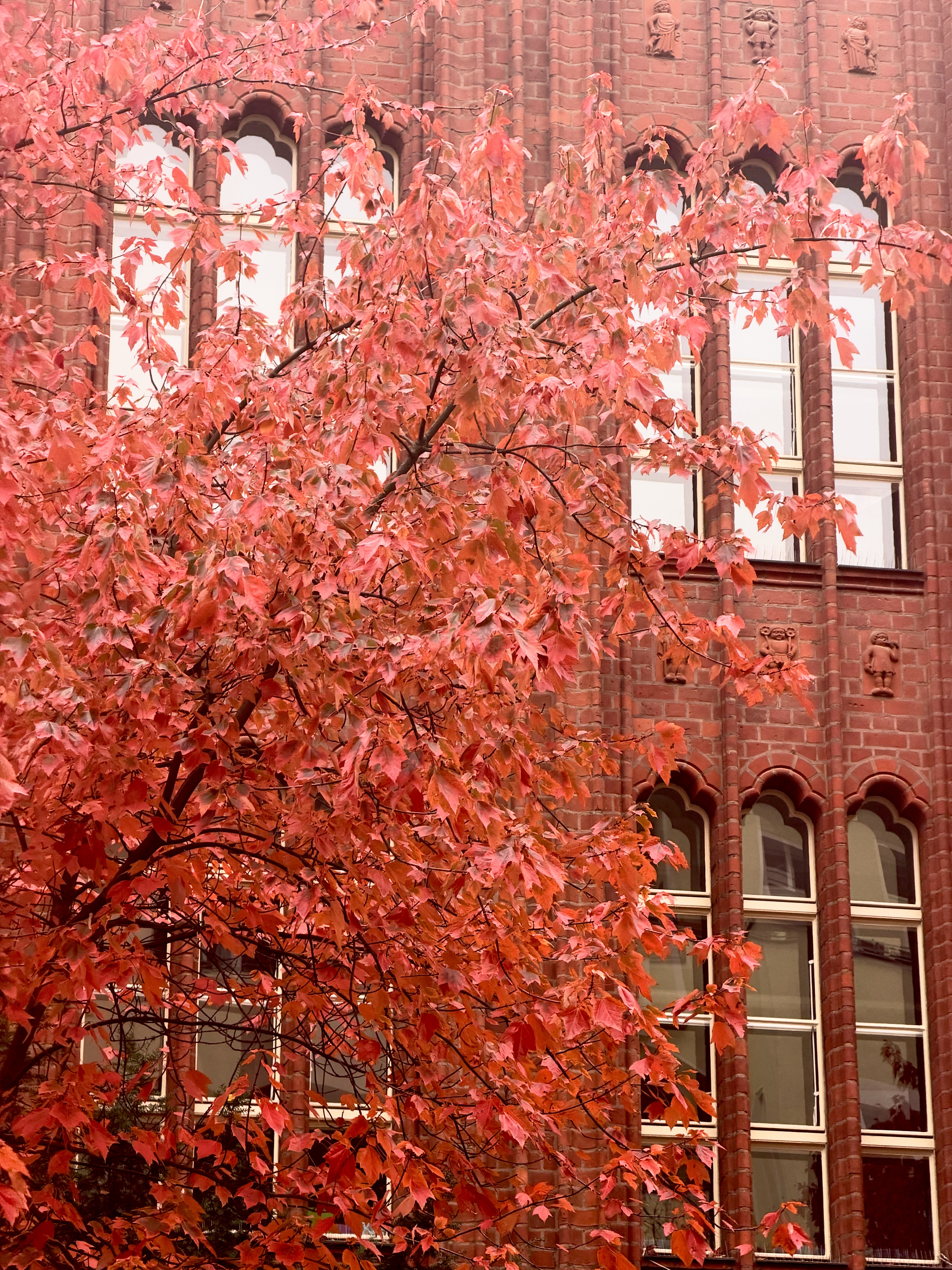 Rosso berlinese